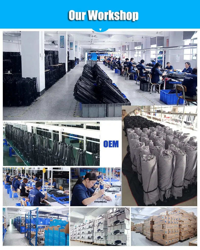 4.2m 4.8m Car Roof Shade Cover Automatic Car Umbrellas with Remote Control